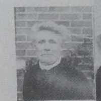 Ellen Wiscombe (1854-1934) Profile